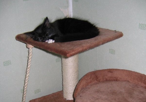 Nov 2005