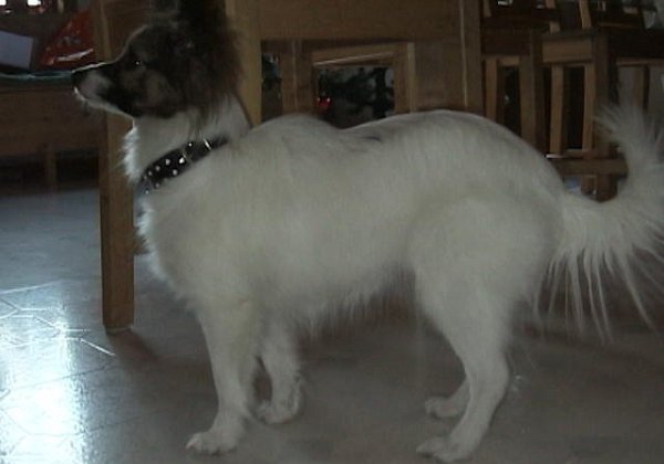 Jan 2007