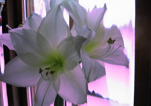 Dec 2009